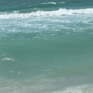 Meet your Posher, Bryce